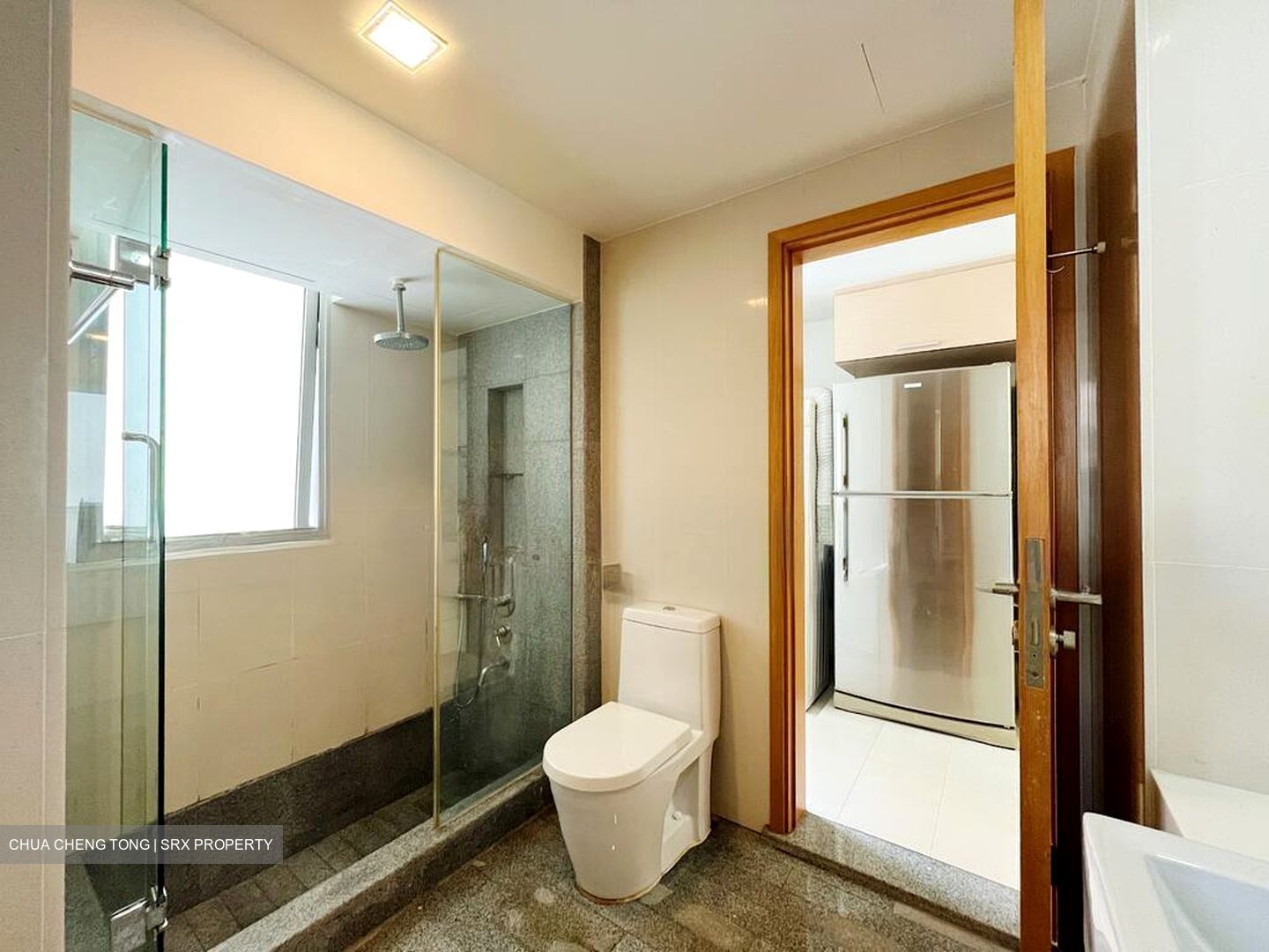 8 @ Mount Sophia (D9), Condominium #519670441